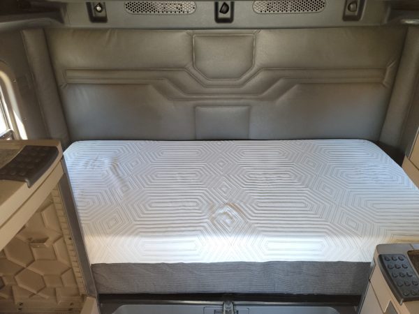 2016 FREIGHTLINER CASCADIA 125 - Image 10