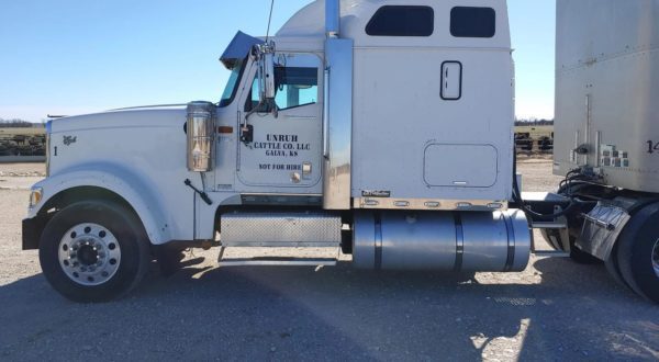 2007 INTERNATIONAL 9900 - Image 2