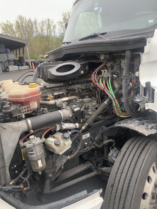 2019 Freightliner Cascadia 126 - Image 9