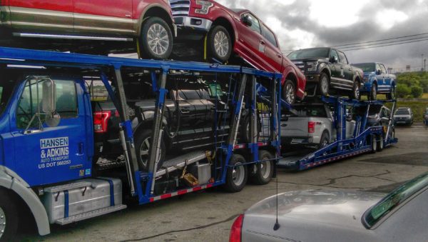 2001 Sterling LT9500 & 2000 Cottrell 7 car trailer - Image 2