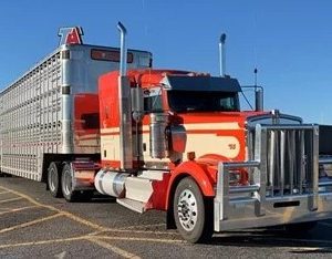 2012 Kenworth W900L