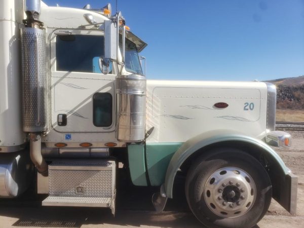 2008 Peterbilt 389 - Image 3
