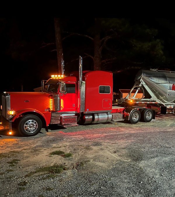 2019 Peterbilt 389