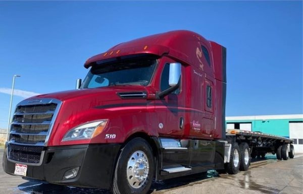 (3)  2019 Freightliners Cascadia 126’s - Image 2