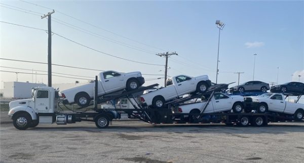 2020 PETERBILT 337 & 2019 Sun Country 5 Car - Image 2