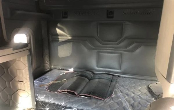 2015 FREIGHTLINER CASCADIA 125 EVOLUTION - Image 13