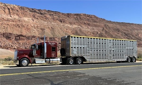 2021 KENWORTH W900