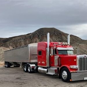 2023 PETERBILT 389
