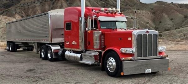 2023 PETERBILT 389 - Image 3