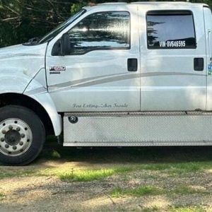 2008 FORD F6502008 FORD F650