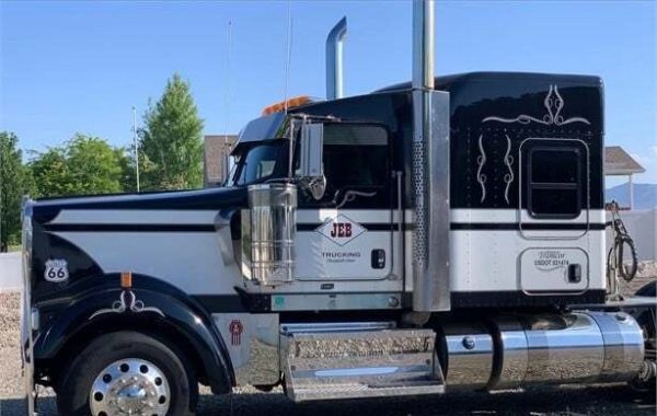 2020 KENWORTH W900L - Image 3