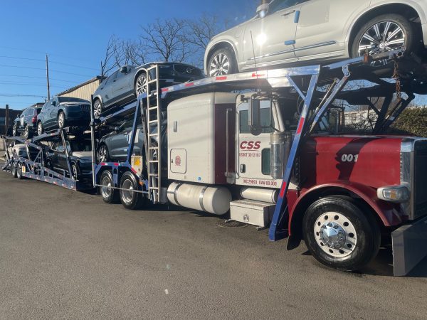 2006 Peterbilt 379 - Image 10