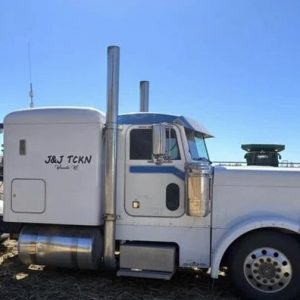 1994 PETERBILT 379