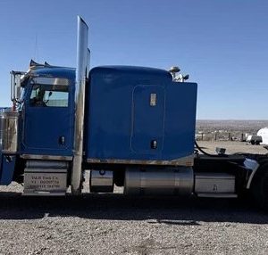 2014 PETERBILT 389