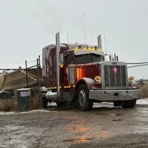 1993 Peterbilt 379 long hood