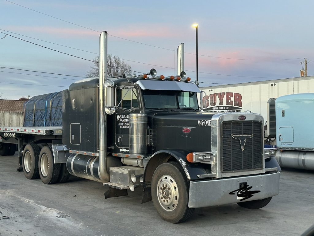 1990 PETERBILT 379 - Image 11