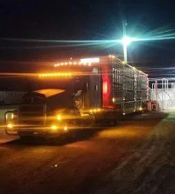 1996 Kenworth T600 - Image 5