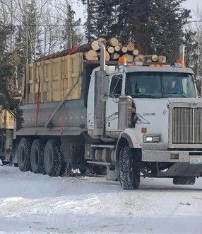 2006 WESTERN STAR 4900FA - Image 2