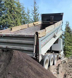 2006 WESTERN STAR 4900FA - Image 3