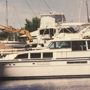 1985 Bertram Flybridge