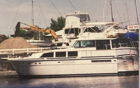 1985 Bertram Flybridge