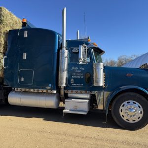 2002 Peterbilt 379