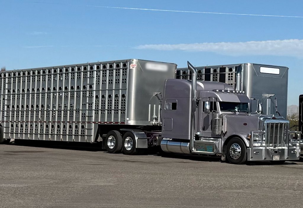 2022 Peterbilt 389 – Custom Paint - Image 8