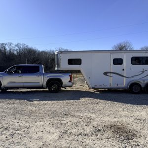 2002 CM by Cimarron 2-Horse Warmblood Straight-Load Gooseneck Trailer