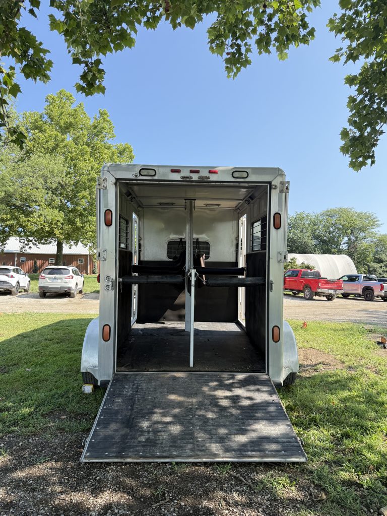 2002 CM by Cimarron 2-Horse Warmblood Straight-Load Gooseneck Trailer - Image 10