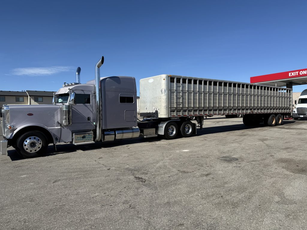 2022 Peterbilt 389 – Custom Paint - Image 5
