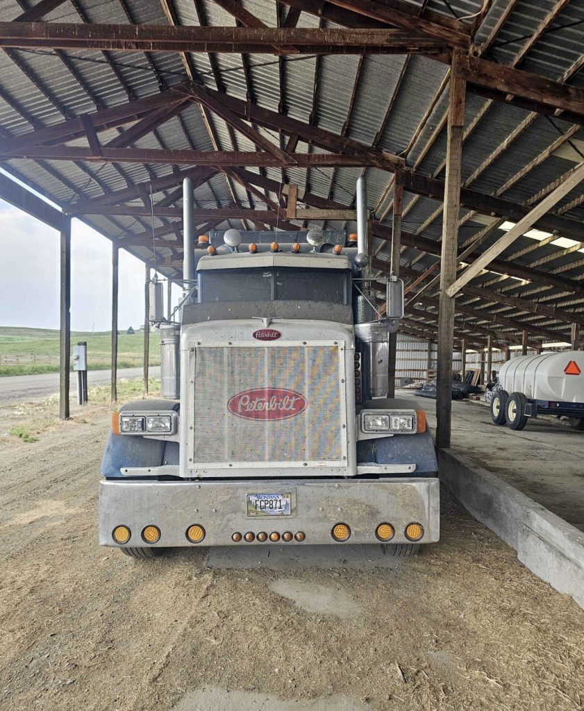 2002 Peterbilt 379 - Image 2