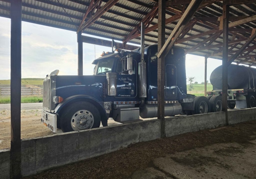 2002 Peterbilt 379 - Image 3