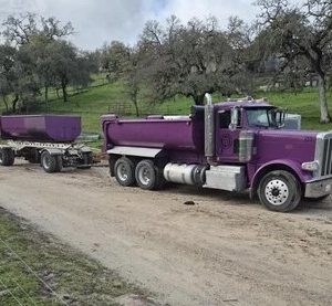 2011 Pete 388