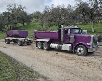 2011 Pete 388