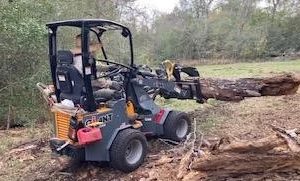 2021 GIANT D254SW