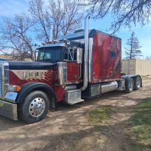 1999 Pete 379