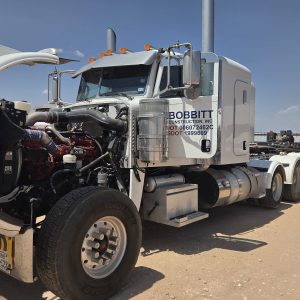 2019 Peterbilt 389