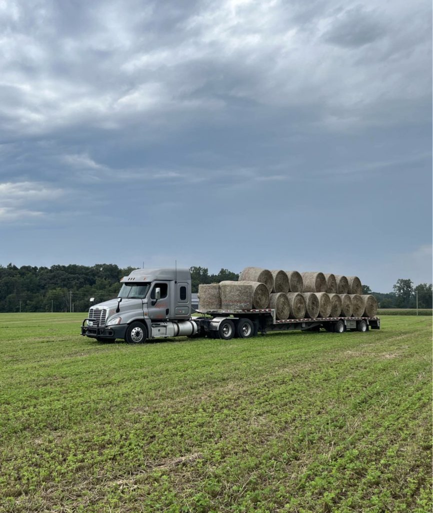 2013 Freightliner Cascadia - Image 6