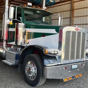 2010 PETERBILT 388