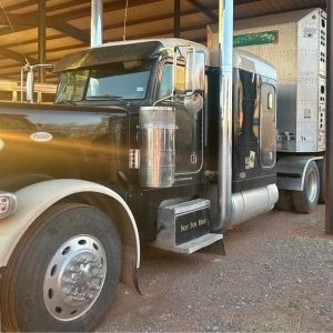 1999 PETERBILT 379