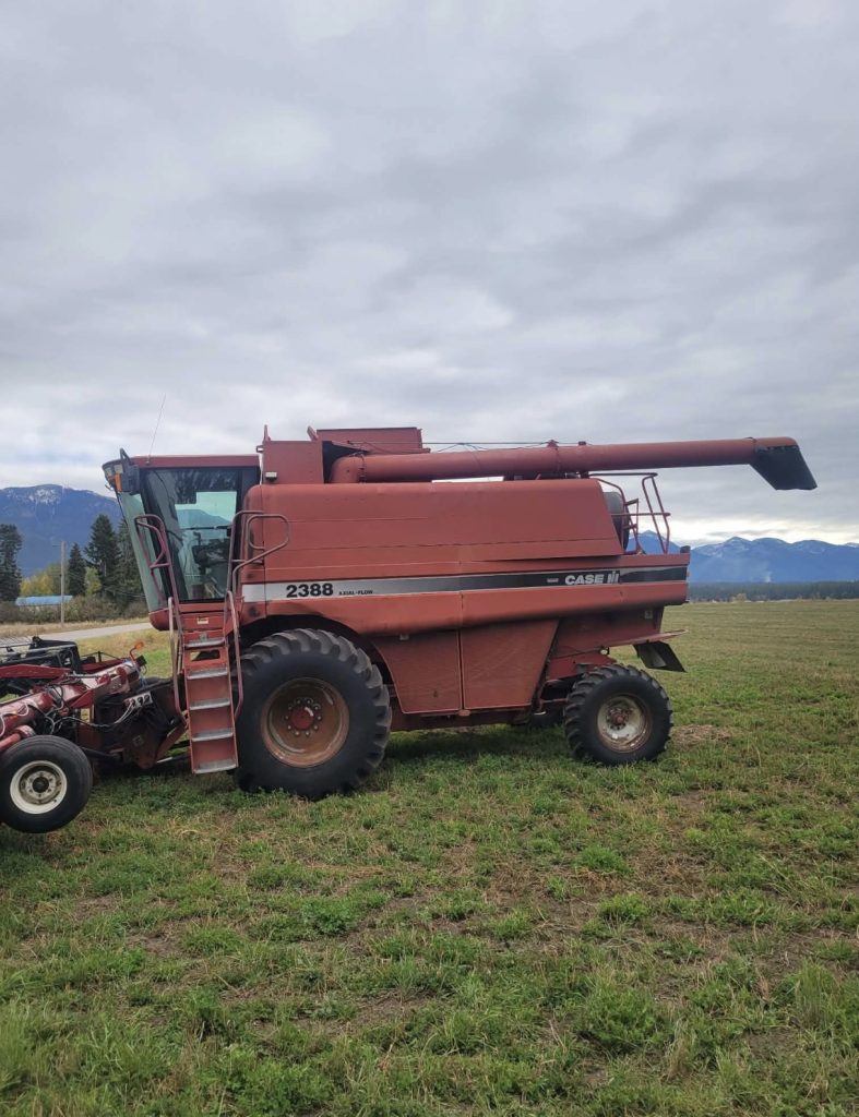 Case IH 2388 Combine w/ 1042 36ft. Head - Image 5
