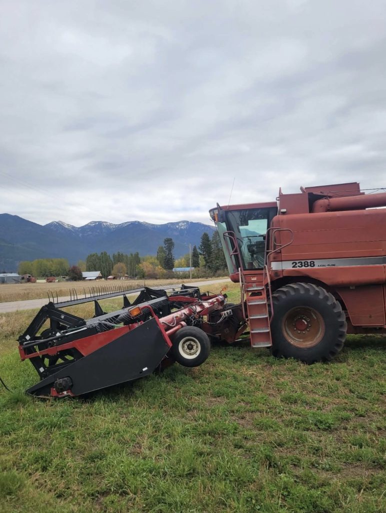 Case IH 2388 Combine w/ 1042 36ft. Head - Image 4