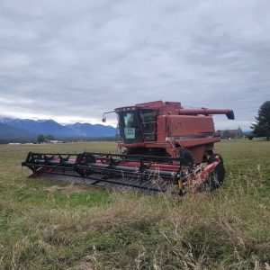 Case IH 2388 Combine w/ 1042 36ft. Head