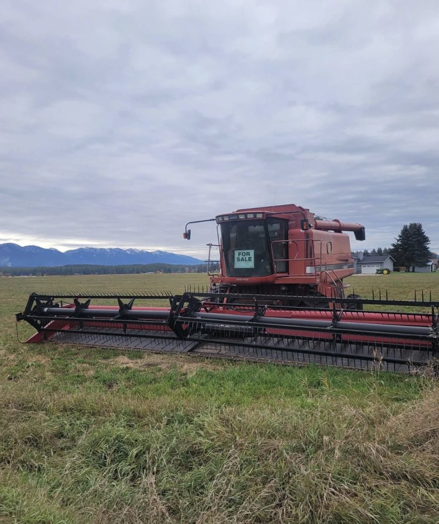 Case IH 2388 Combine w/ 1042 36ft. Head - Image 2