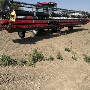 Case IH WD 1203 Swather