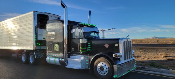 2011 Peterbilt 389