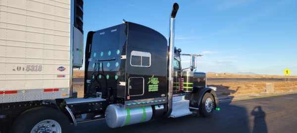 2011 Peterbilt 389 - Image 3