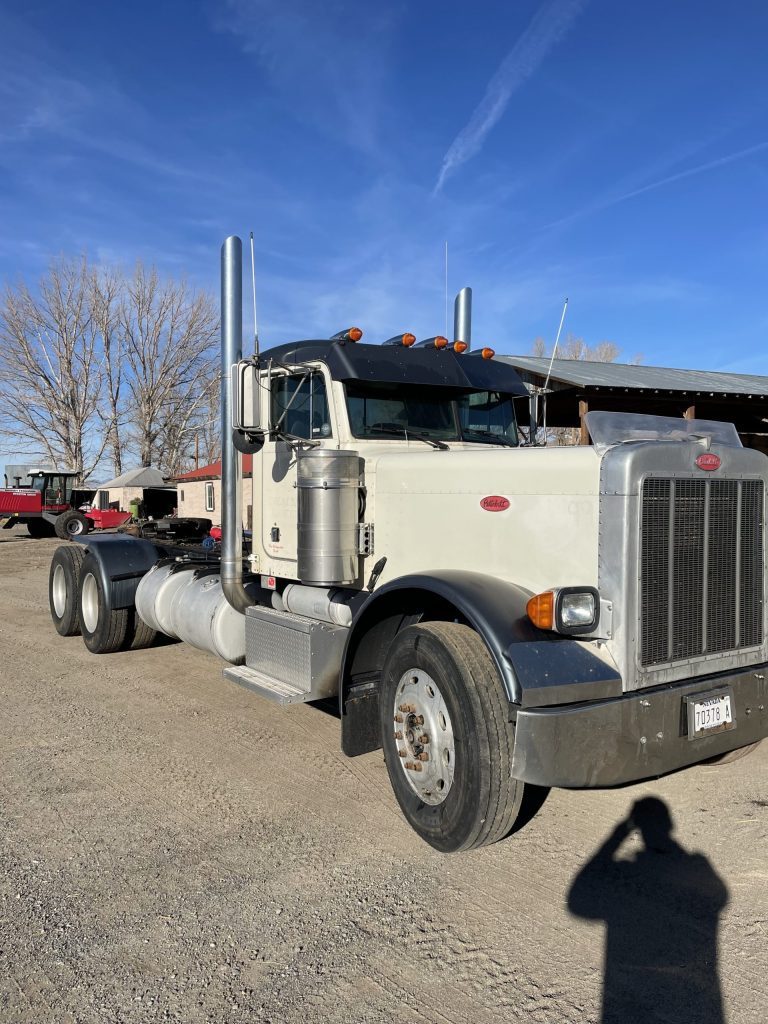 1999 Peterbilt 379 - Image 10