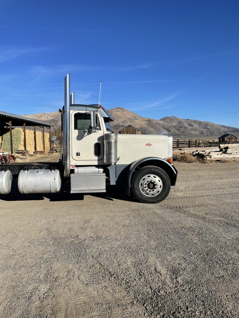 1999 Peterbilt 379 - Image 11