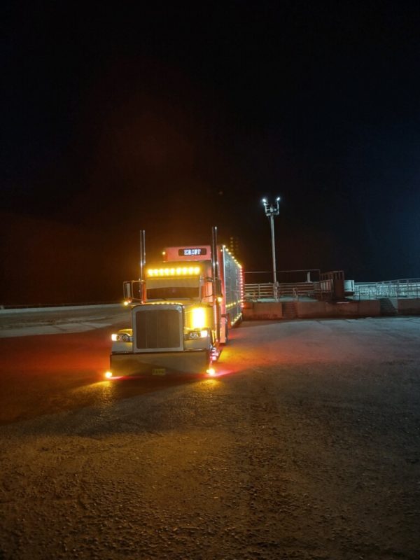 2021 Peterbilt 389 - Image 8